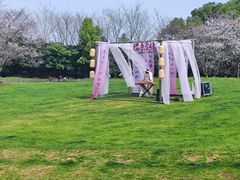 -凤凰沟景区