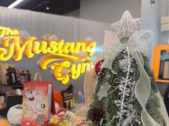 -TMG潮流健身(奥体莲荷里店)