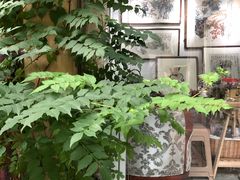 -三峡古玩城(泰古广场店)