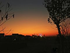 -花博汇(知音花月夜)