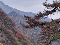 -秦岭终南山世界地质公园翠华山景区