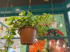 -BOBLOOM花店(宝龙旭辉广场店)