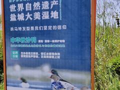 -盐城丹顶鹤湿地生态旅游区