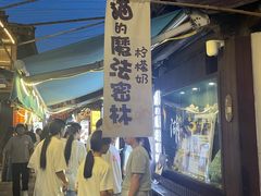 -猫的魔法密林(衣裳街店)