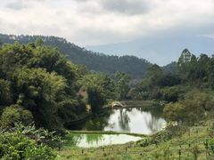 -天强农家菜馆