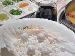 -汤城·料青山