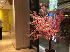 -麦当劳(塔园路店)