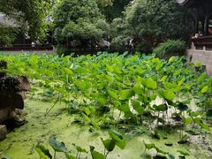 -成都武侯祠博物馆