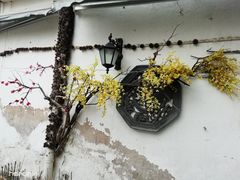 -蔡田福佛跳墙(官驿街店)