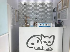 -荣耀金沙动物医院(清江西路店)