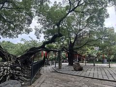 -小洲村
