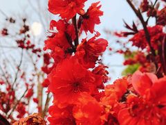 -滨湖塘西河公园