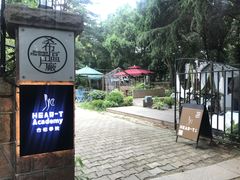 -八大关景区
