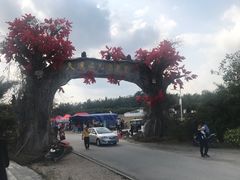 -天适樱花悠乐园