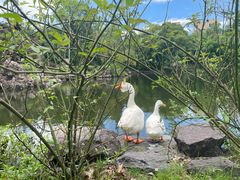 -台州府城(东湖)