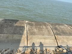 -东疆建设开发纪念公园