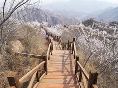 -大岭沟猕猴桃谷风景区