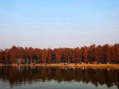-四明湖