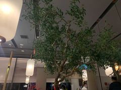 -左庭右院鲜牛肉火锅(苏州园区永旺店)