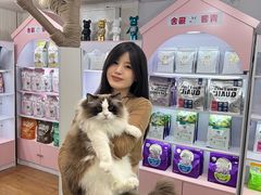 -青奢宠物·青奢猫舍