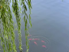 -大连植物园