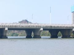 -大亚湾红树林城市湿地公园