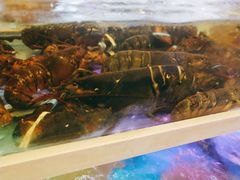 -至尊强仔(正光北街店)