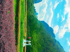 -靖西鹅泉风景区