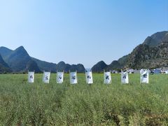 -万峰林风景区