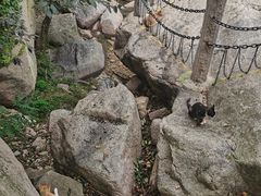 -崂山九水游览区