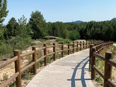 -白水寺森林公园