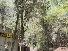 -WeLope紫金山探险公园