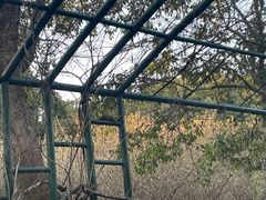 -渤公岛生态公园