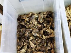 鹅肫肝-正宗忘不了老鹅(梅岭店)