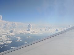 -朗丽兹自助餐厅