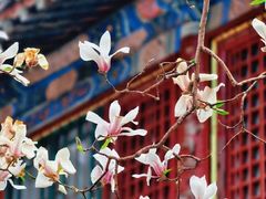 -潭柘寺景区