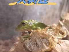 -正佳雨林生态植物园