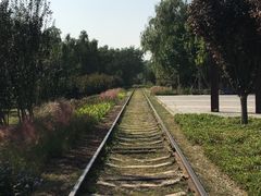 -永定河休闲森林公园