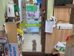 -瑞鹏宠物医院·夜间急症·心超·猫科(祖庙分店)