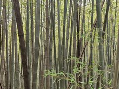 -南京市无想山景区