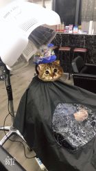 -YO HAIR SALON