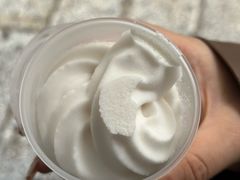 -洪馨椰子