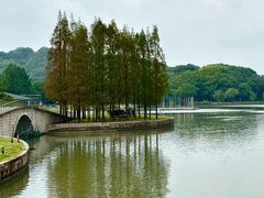-上海月湖雕塑公园
