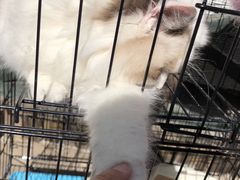 -大港旺宝国际饭店