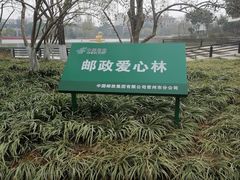 -青枫公园