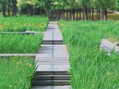 -中关村生命科学园