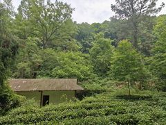 -素山寺森林公园