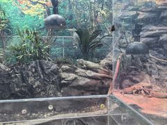-上海大自然野生昆虫馆(东方明珠·爬宠昆虫探索中心)