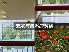 -洋湖国家湿地公园