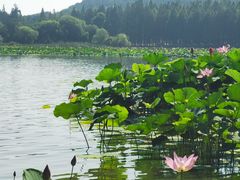 -云龙湖旅游景区